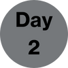 Day 2 icon black text gray background circle