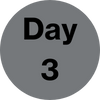 Day 3 icon black text gray background circle